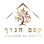 אירינה גינזבורג